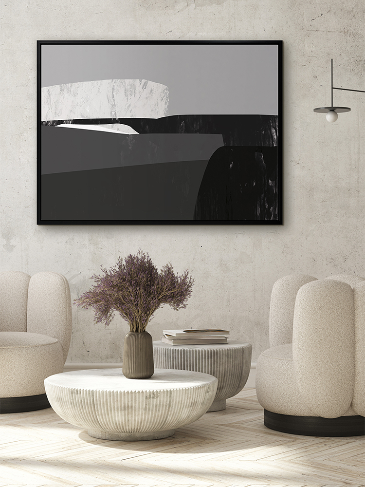 Mono Canvas Art Print