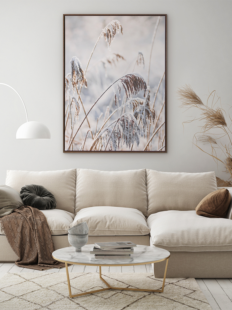 Pampas Frost Canvas Art Print