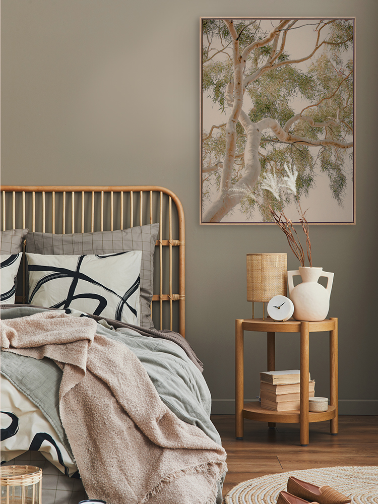 Golden Hour Gum Tree Canvas Art Print