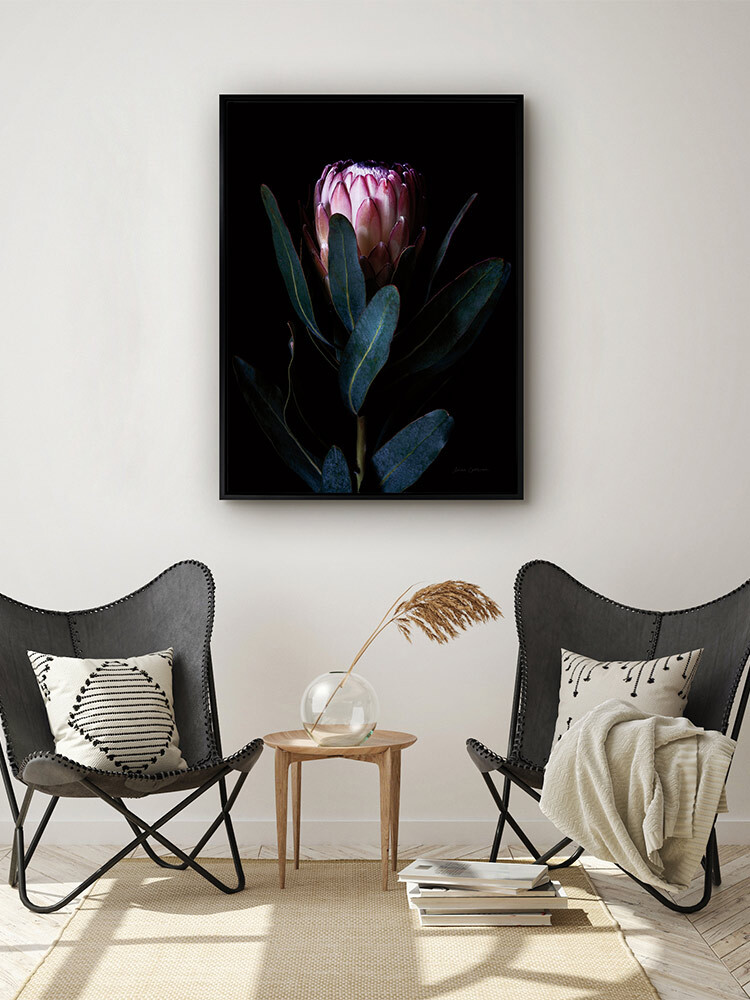 Protea Portrait Canvas Art Print