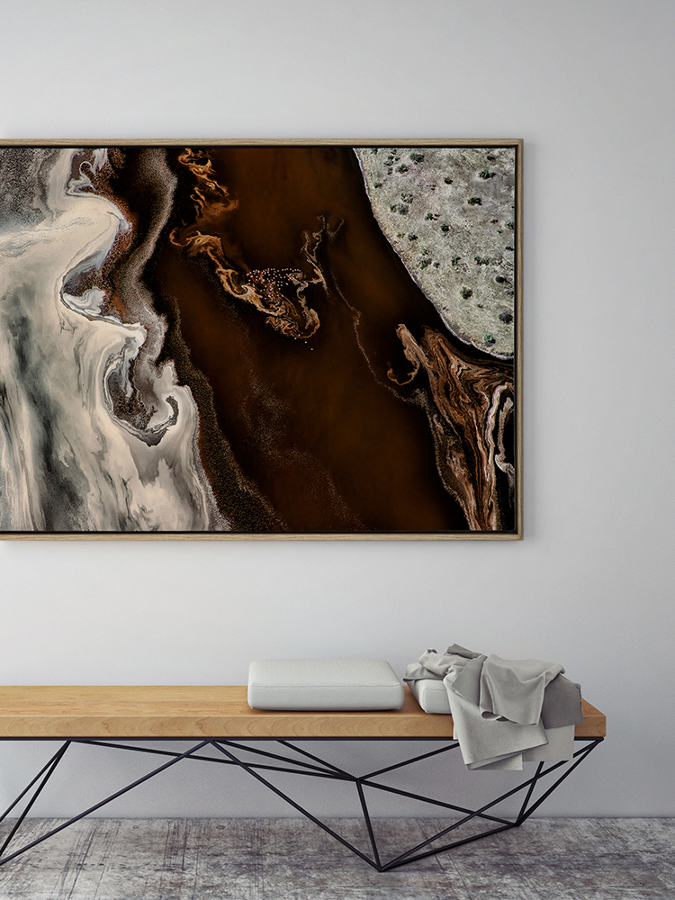 Bronze Vista Canvas Art Print