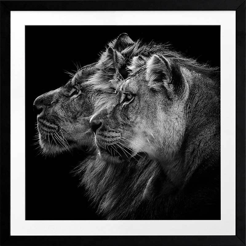 A Fierce Pairing Framed Art Print