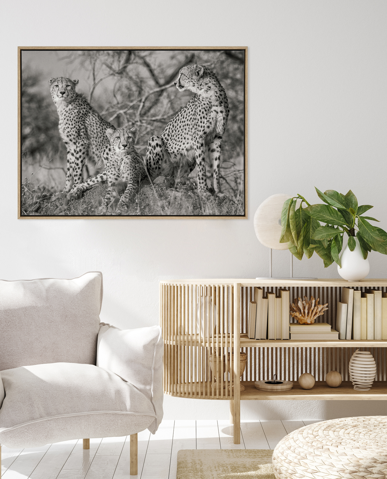 Cheetah Tribe Canvas Art Print