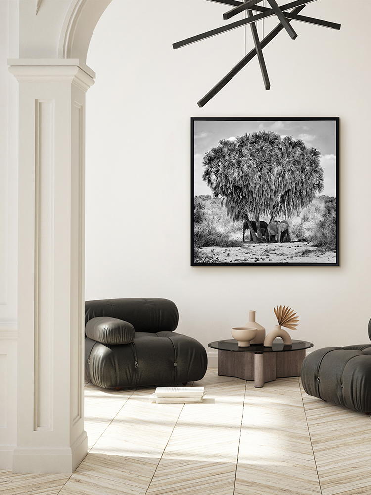 Elephants in Hiding Canvas Art Print