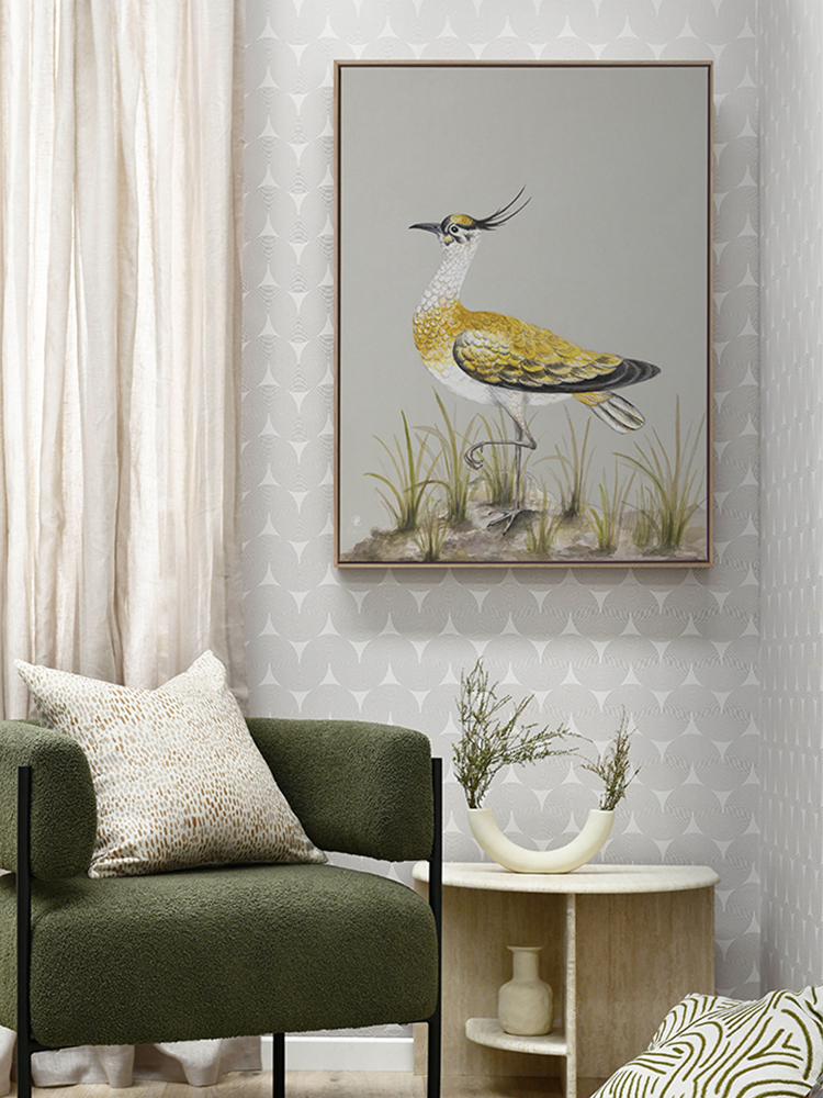 Golden Plover Canvas Art Print