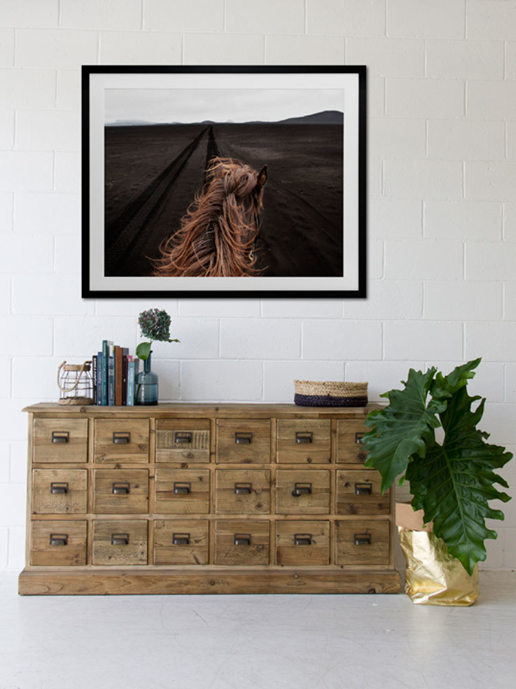 Horse Tracks Canvas Art Print