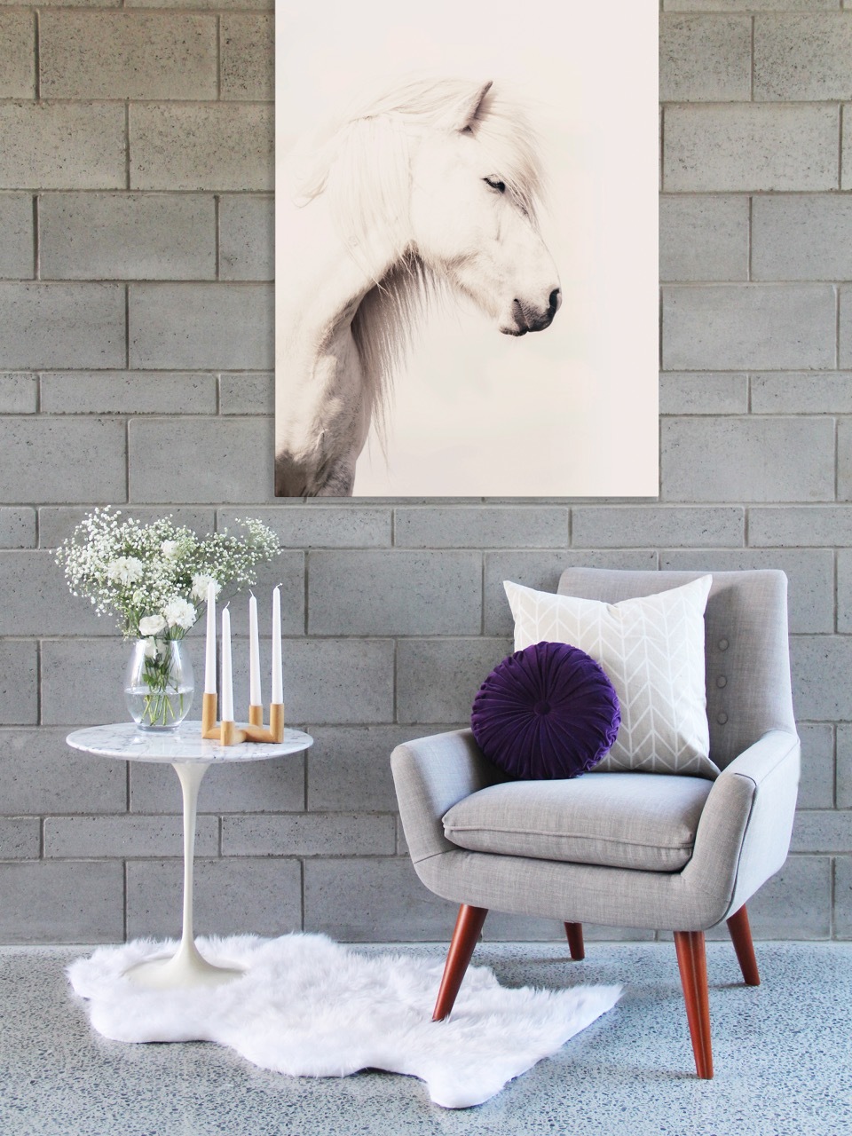 Icelandic Horse Canvas Art Print