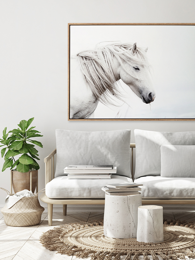 Stallion Canvas Art Print