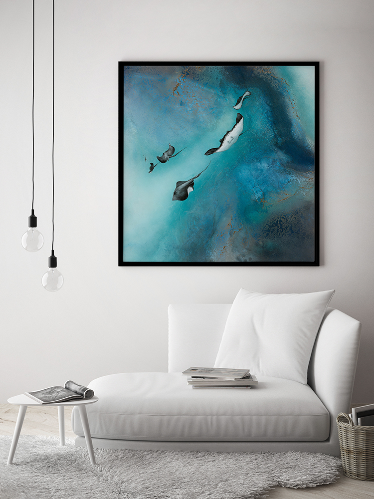 Stingrays Canvas Art Print