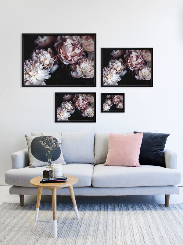 Peonies Poster