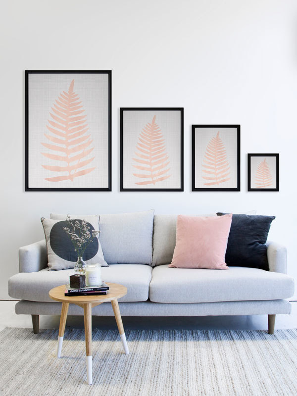 Beech Blush Poster