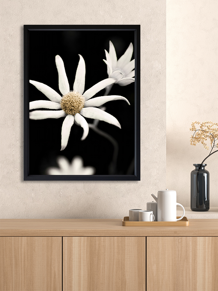 Flannel Flower Poster