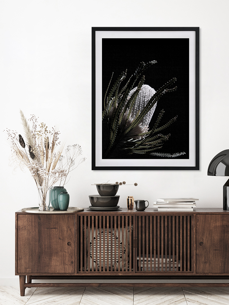 White Banksia II Poster