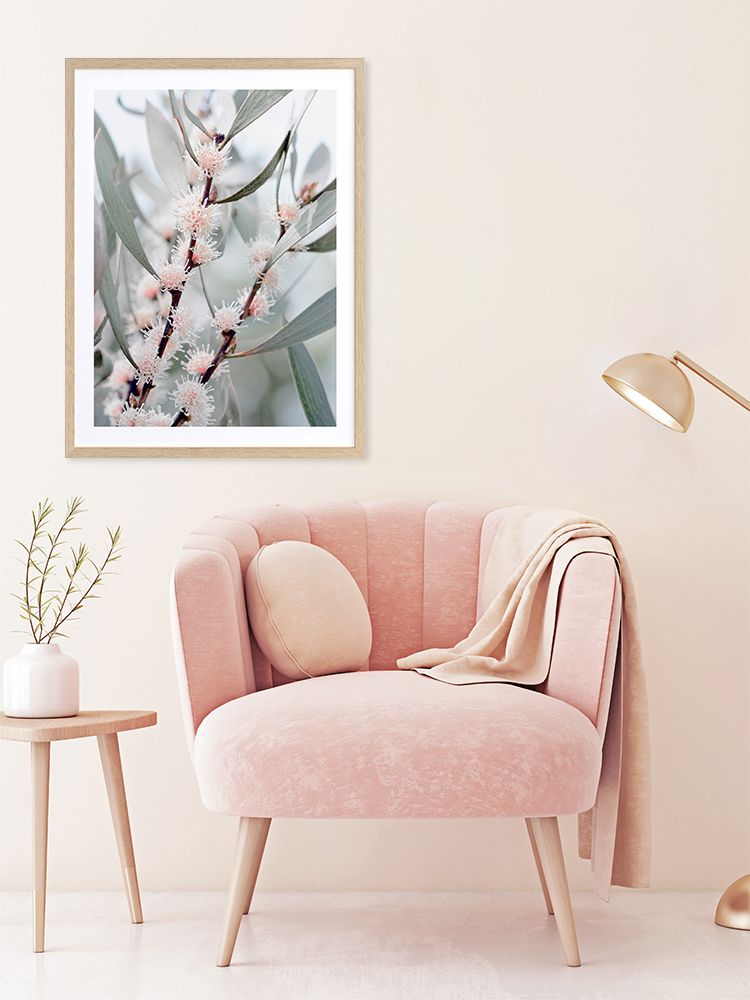 Hakea Flowers Poster