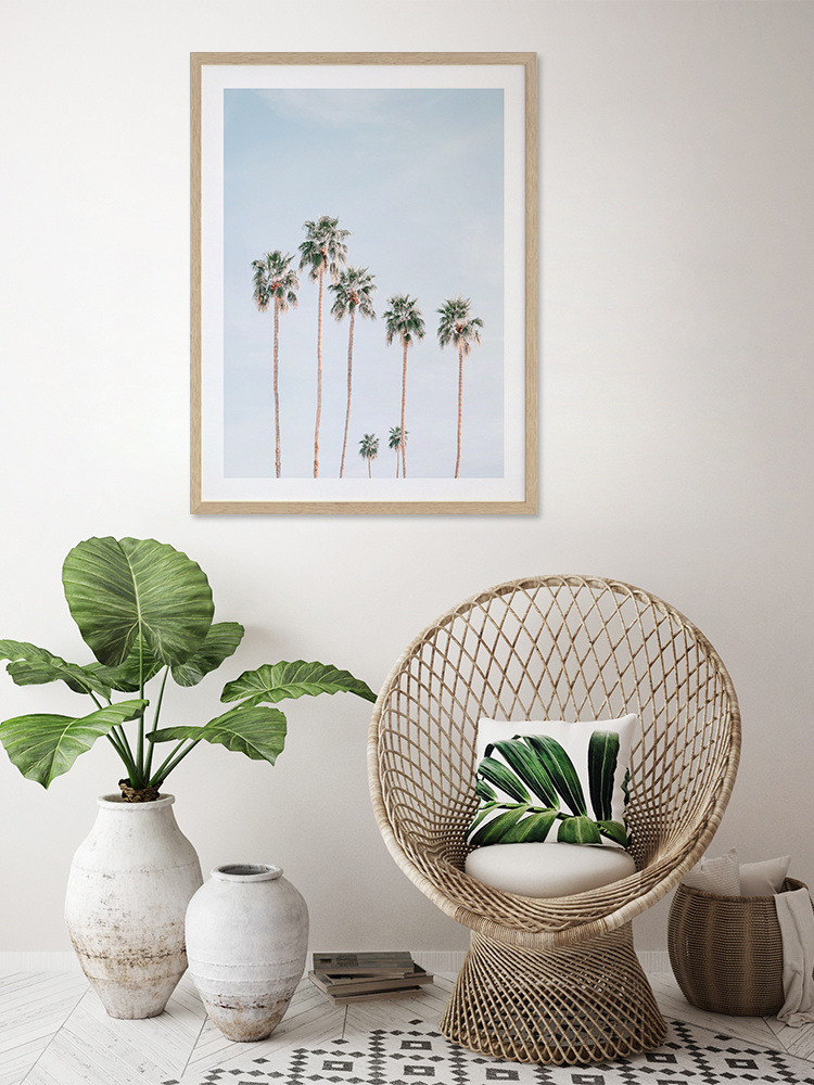 Desert Palms Poster