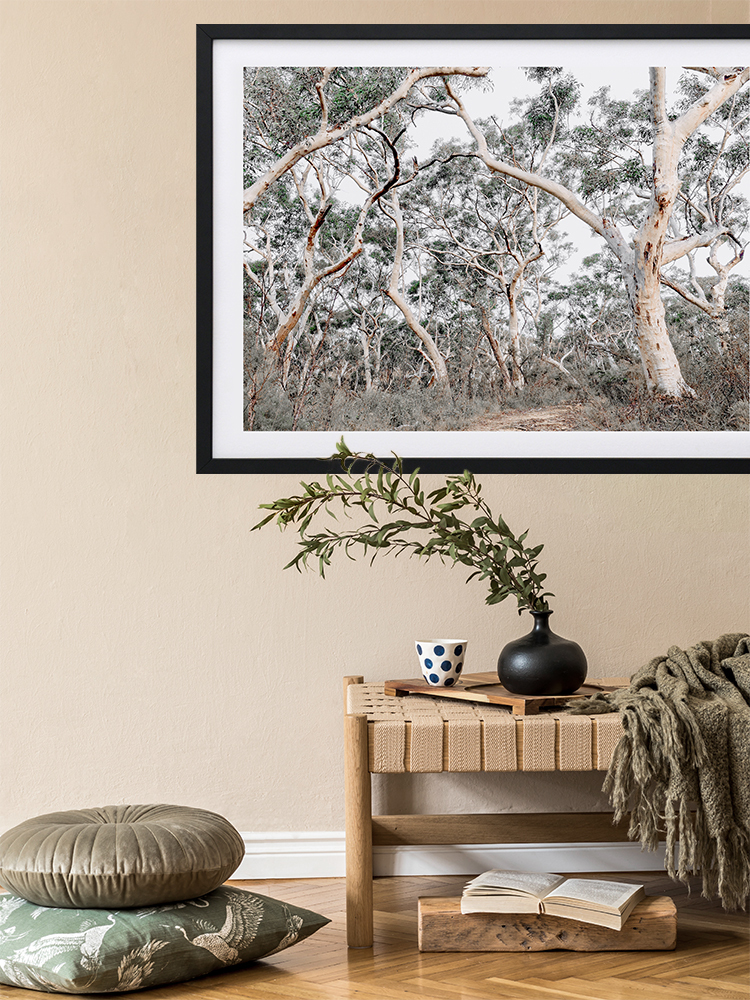 Gum Tree Forrest Poster