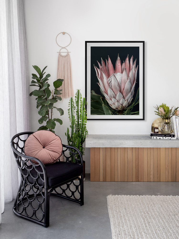 King of Flowers Framed Art Print