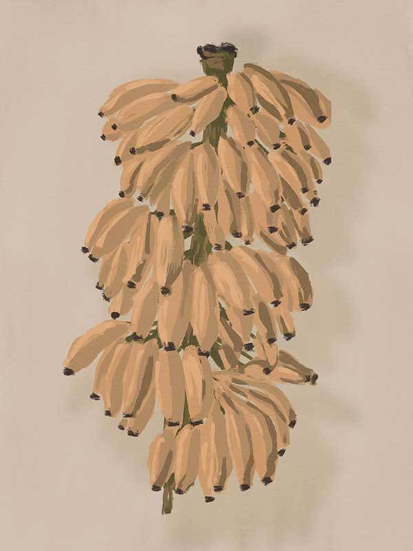 Platano II Clay Canvas Art Print