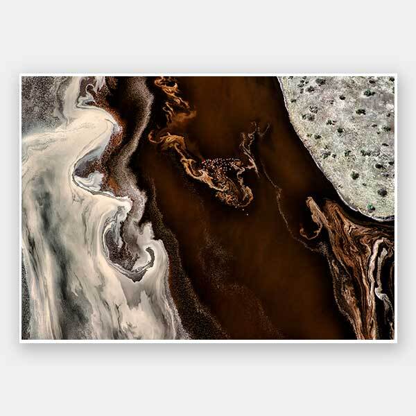 Bronze Vista Unframed Art Print