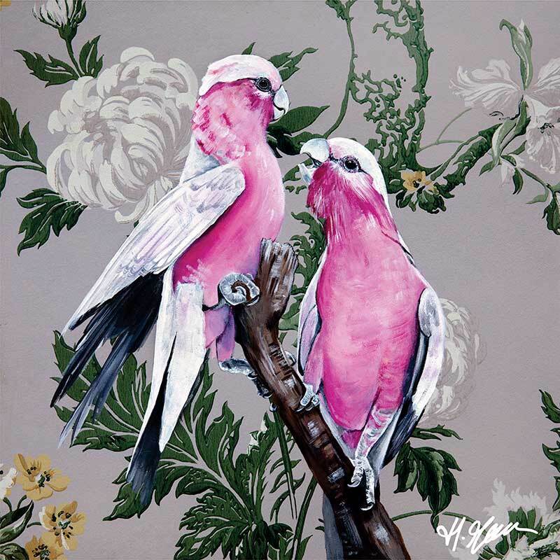 Galahs Canvas Art Print