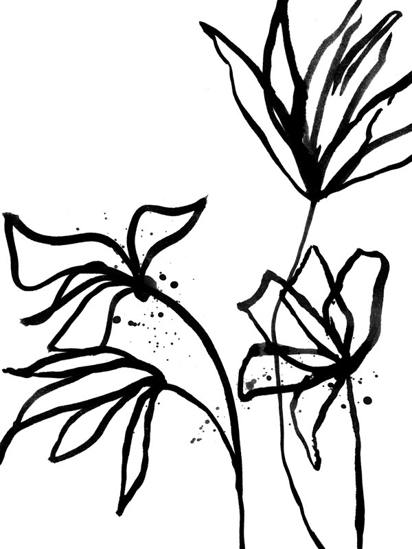 Ink Flowers II Poster