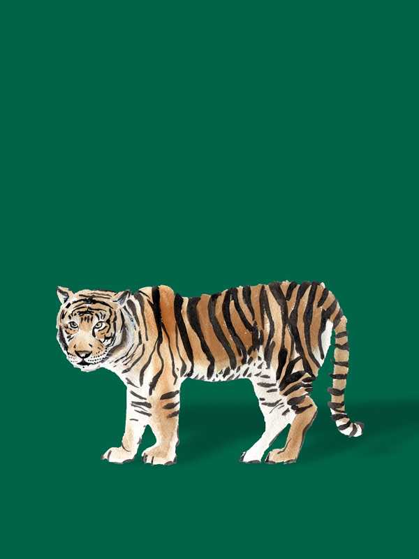 Bengal Poster