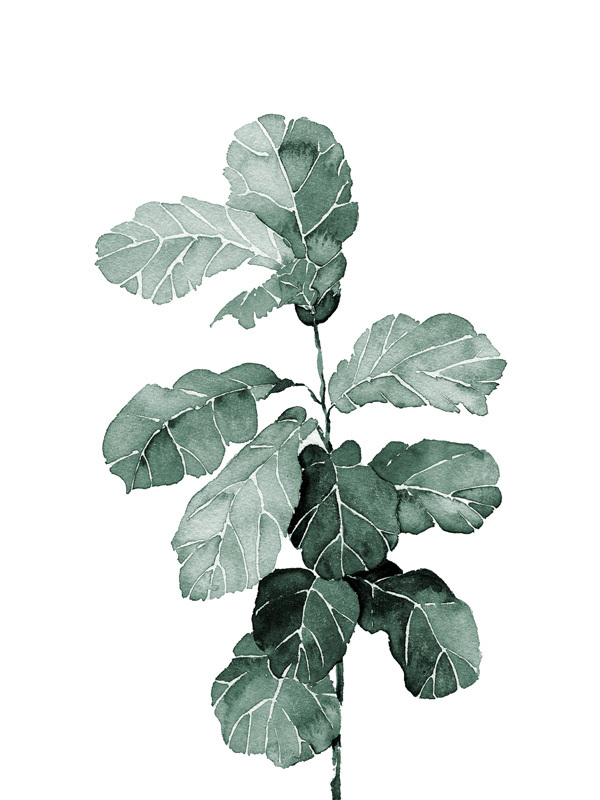 Phoenix Fiddle Leaf Poster