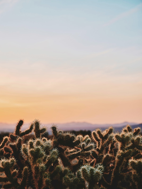 Mojave Sunsets Poster