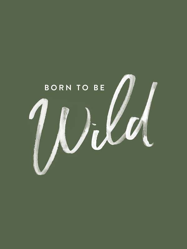 Born to be Wild Poster