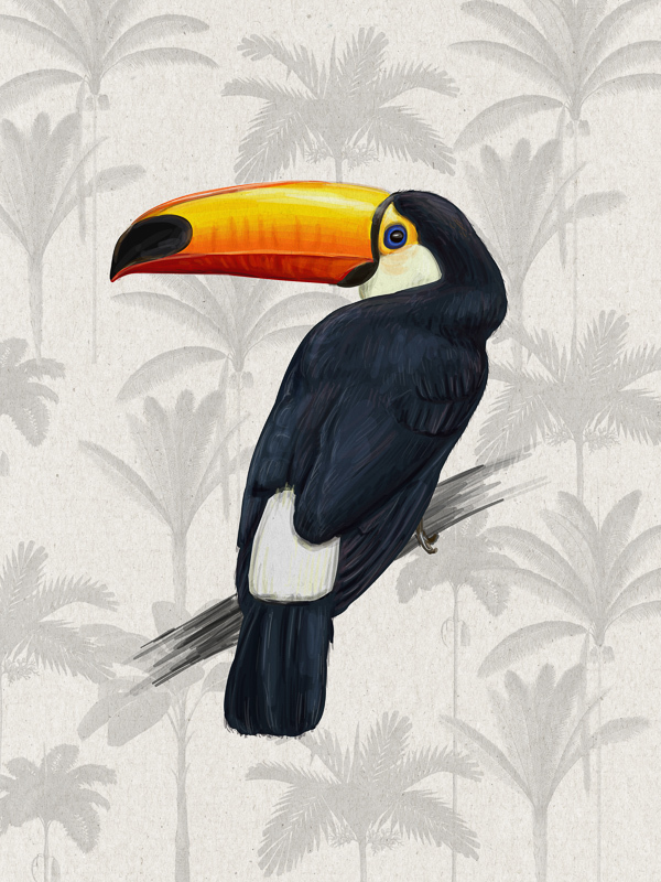 Tropical Toucan Poster