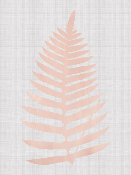 Beech Blush Poster