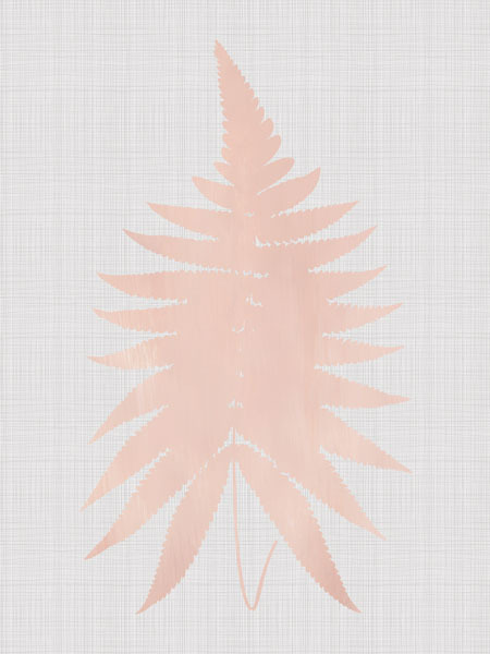 Fern Blush Poster