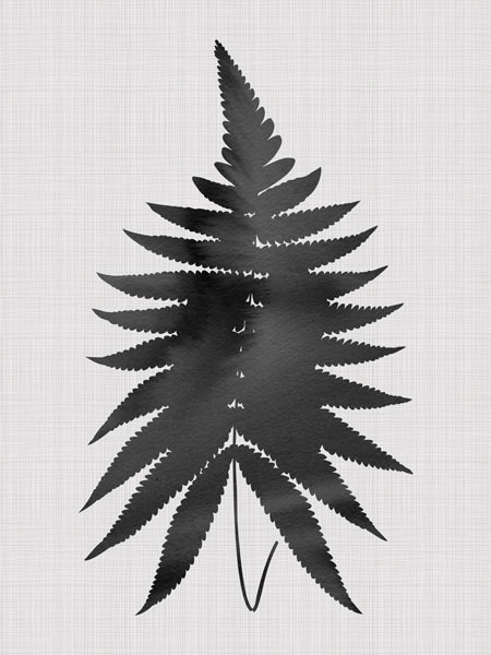 Fern Black Poster