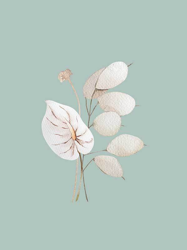 Mint Anthurium II Poster