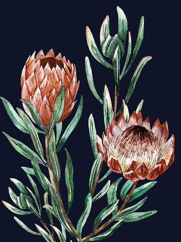 Dark Proteas I Poster