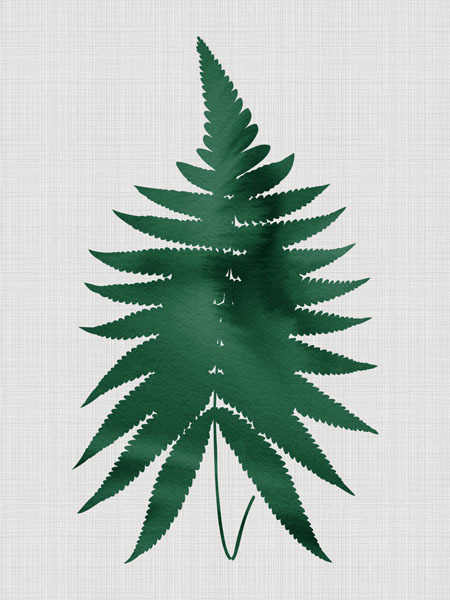 Fern Green Poster