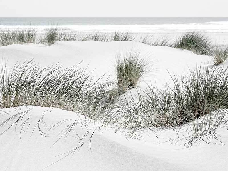 White Sands Poster