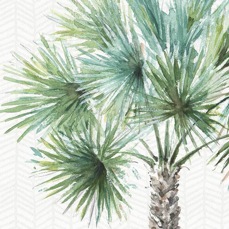 Date Palm II Canvas Art Print